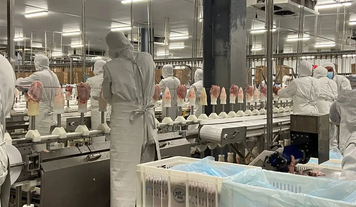 Макинск құс фабрикасында жазатайым оқиға болды – жұмысшы зардап шекті