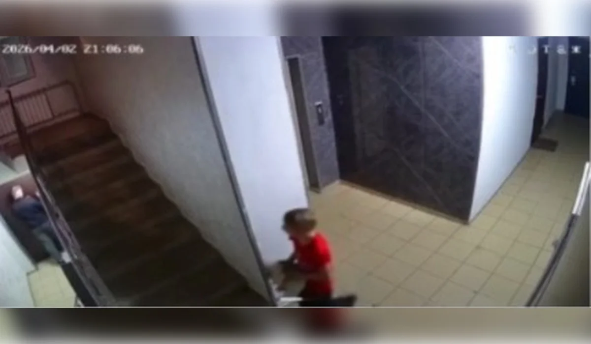 Қабырғаға соғып, үстіне секірген: Алматыда мысықты қинаған жасөспірімнің видеосы жарияланды