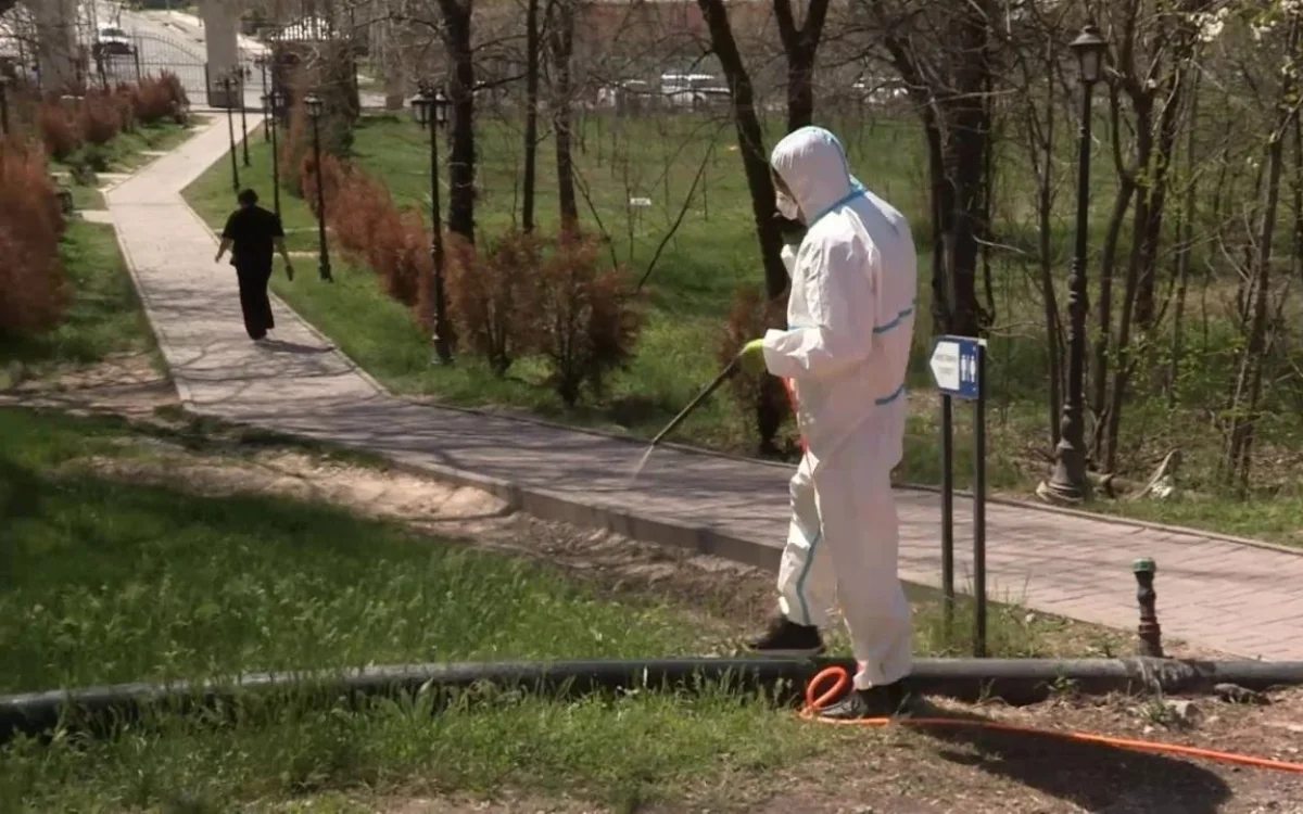 Түркістан облысы мен Шымкентте зиянкестермен күрес басталды