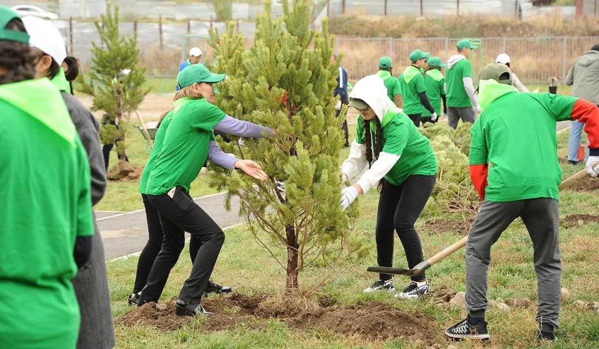 Алматыда биыл 550 мыңнан аса жасыл желек отырғызылады