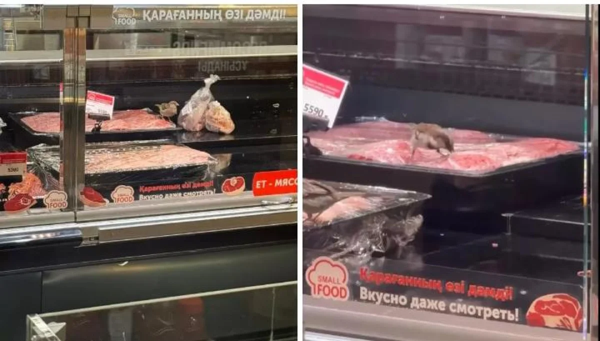 Астанадағы Small дүкенінде түсірілген видео жұртты алаңдатты: шикі ет үстінде торғайлар жүрген