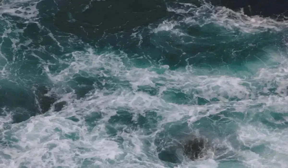 Ақмолада жоғалған гидробекет қызметкерін өзен арнасынан іздеп жатыр