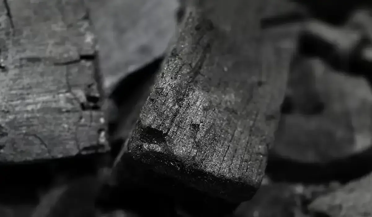 Қазақстанда көмір кен орындары бойынша жаңа аукцион өтеді