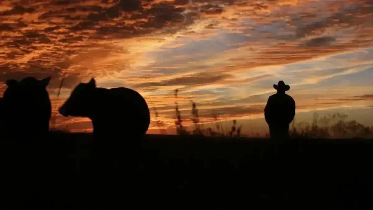 Қазығұртта бір топ адам ауыл тұрғынының бар малын айдап кеткен