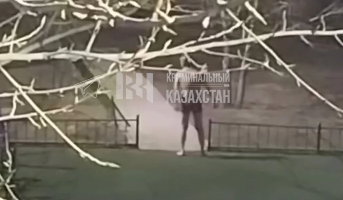 Астанада пышақ ұстаған жалаңаш ер адам жұрттың зәресін ұшырды (ВИДЕО)