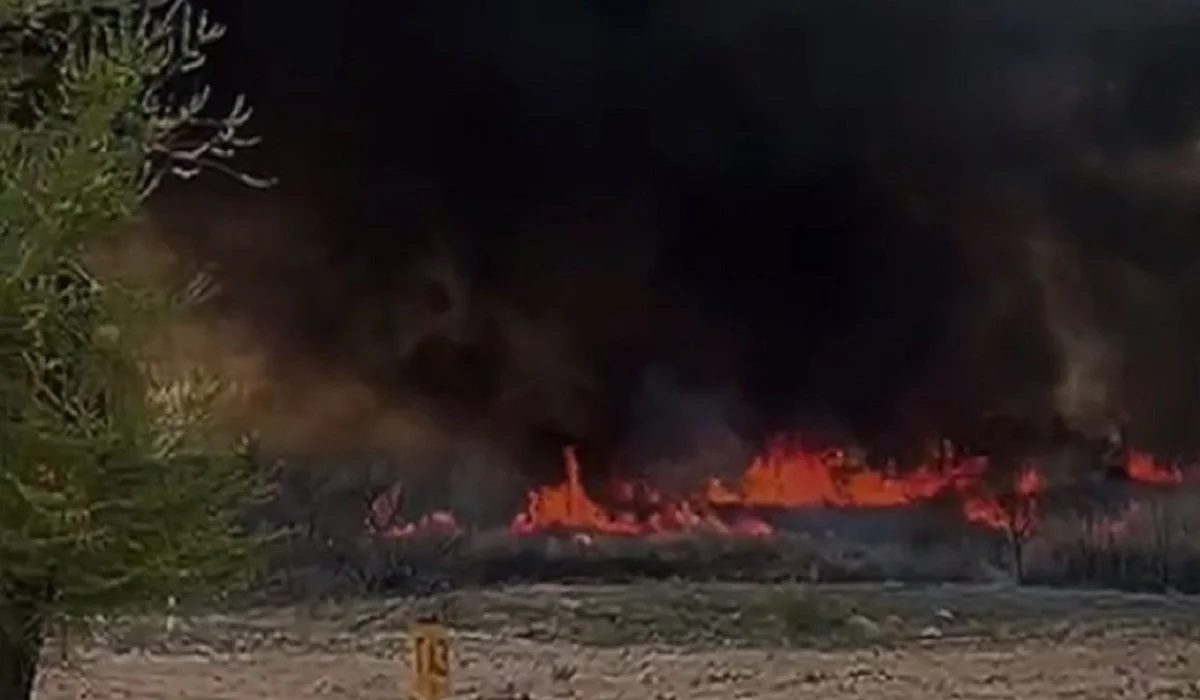 Қонаевта бір гектар жер алапат отқа оранды (ВИДЕО)