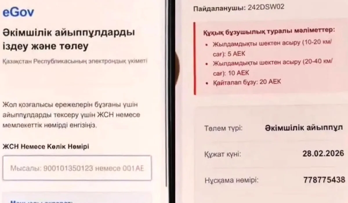 Қазақстанда интернет-алаяқтықтың жаңа түрі пайда болды