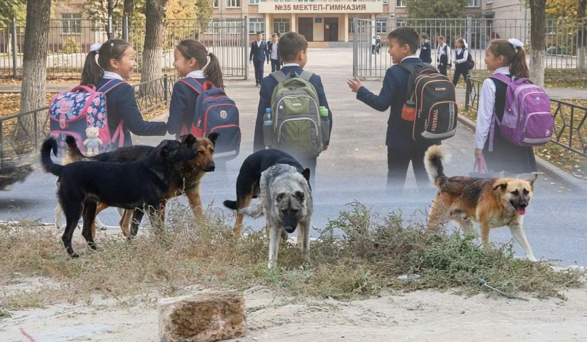 «Бұралқы иттерден қашқан бала мүгедек болып қалды»: қоғам белсендісі БҚО-дағы ауыр оқиғаны баяндады