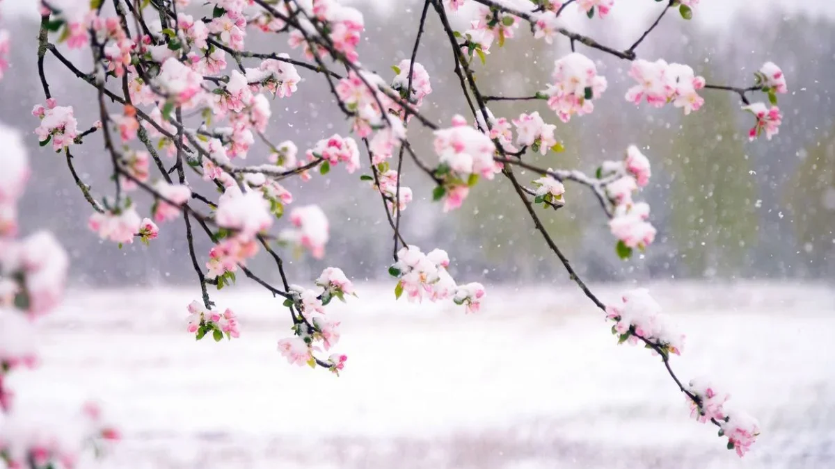 Қазақстанда алдағы күндері -18 градус болып, қар аралас жаңбыр жауады – ауа райы болжамы