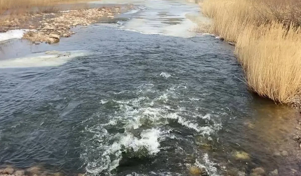 Селден қорғауға арналған мемлекеттік бағдарламаларға қаражат бөлінбеген – депутат