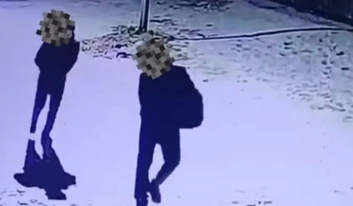 Ұлытауда ағайынды жігіттер ұрлыққа түсіп, ақша мен алтын толы сейфті қолды еткен (ВИДЕО)