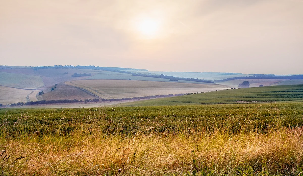 Шымкенттегі шенеуніктер иен далаға жарық пен су тартамыз деген желеумен 1,7 млрд теңгені игермек болған