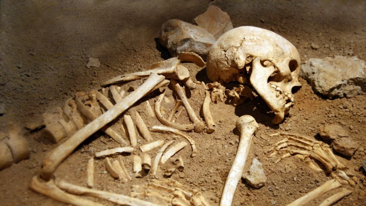 ДНҚ арқылы кім екені анықталды: Семейде жоғалып кеткен ер адамның қаңқасы Қызылордада табылды