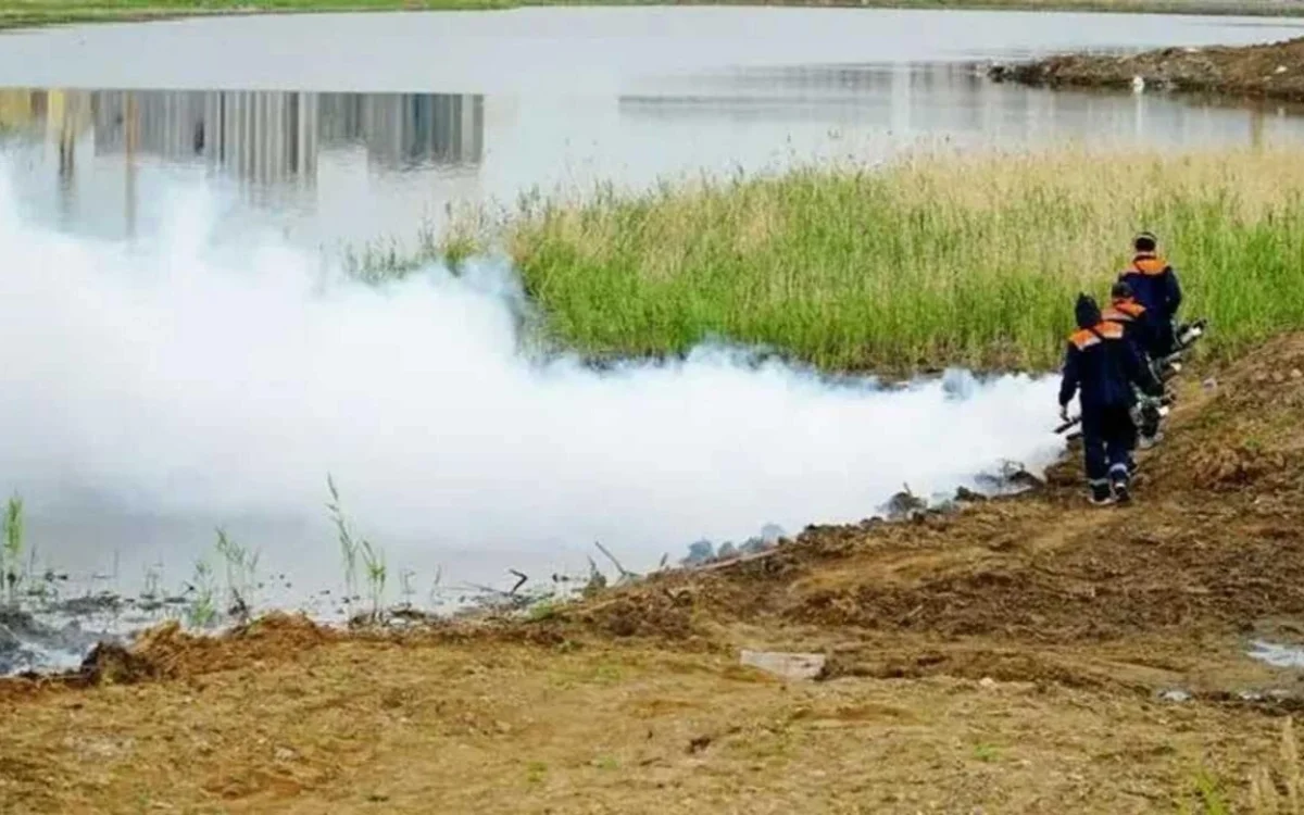 Астанада жәндіктерге қарсы ауқымды дезинсекция жұмыстары басталады