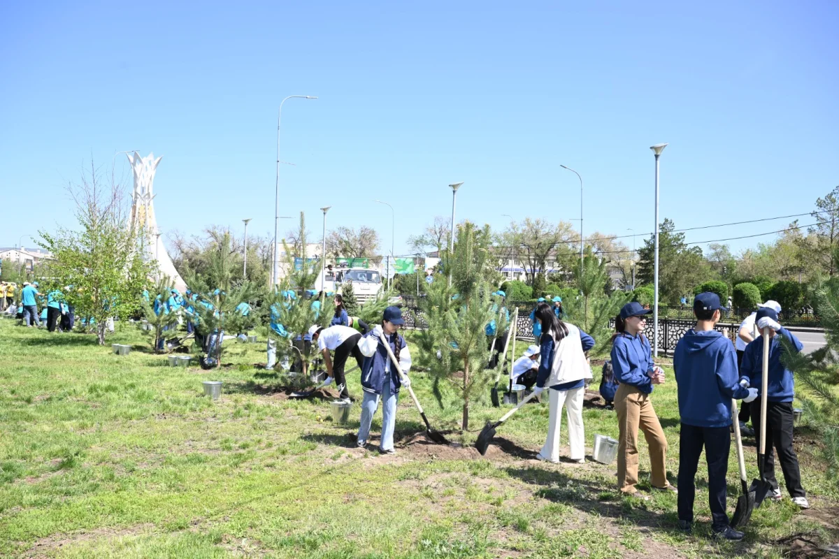 «Жасыл желек» республикалық акциясы: Жетісуда 8 мыңнан астам ағаш егілді