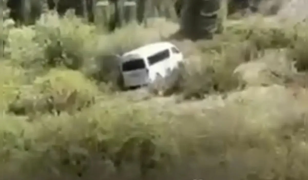 Көлсай маңында туристік автобус төменге құлап кетті (ВИДЕО)