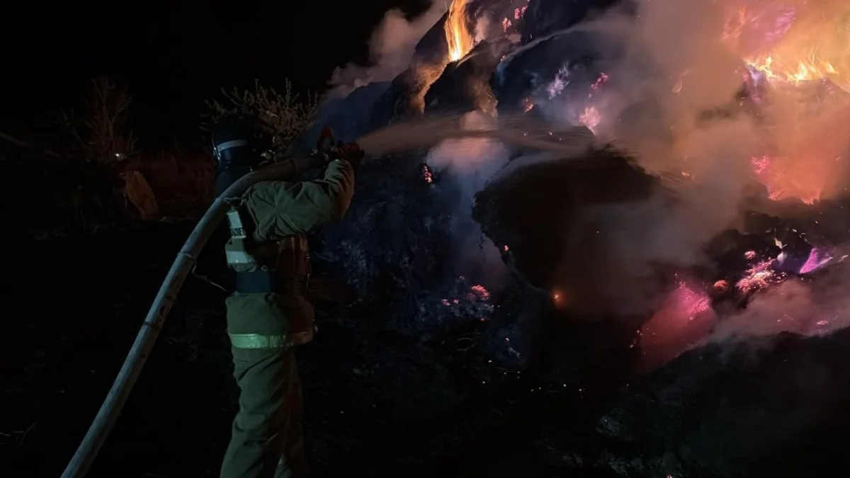 Ақмола облысында 70 тонна шөп өртеніп кетті