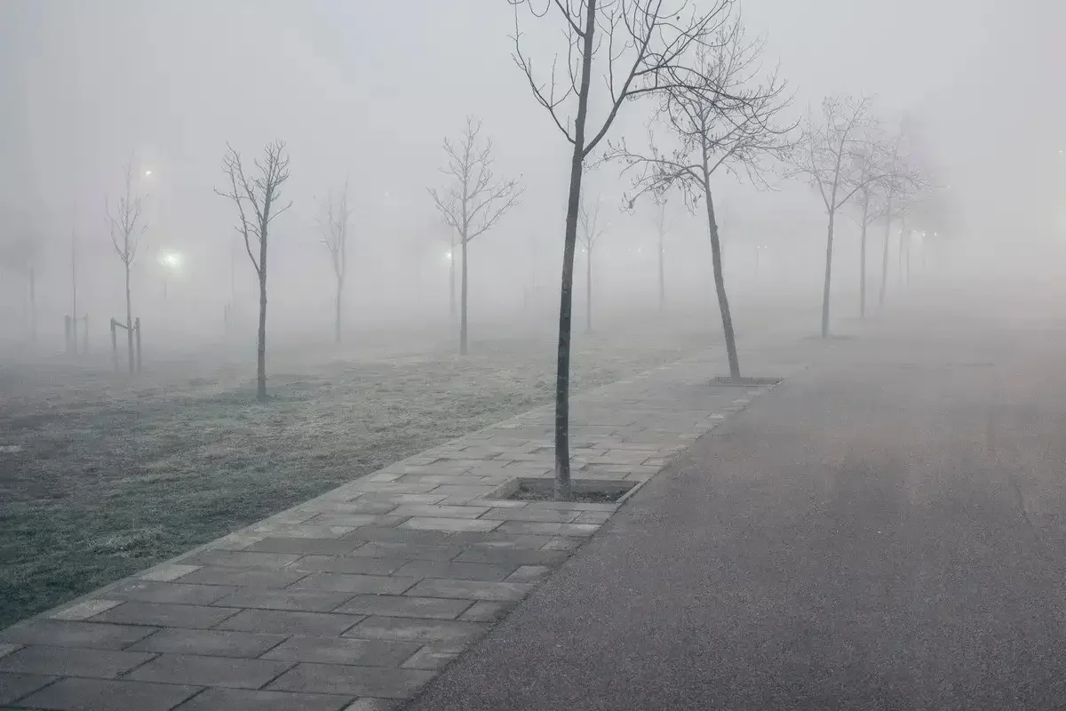 Тұман мен үсік қатар жүреді: алдағы күндері ауа райы күрт құбылады