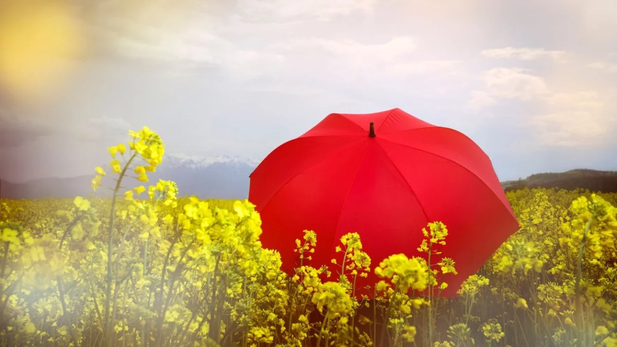 Мамыр айының алғашқы күндері Қазақстанда ауа райы қандай болады