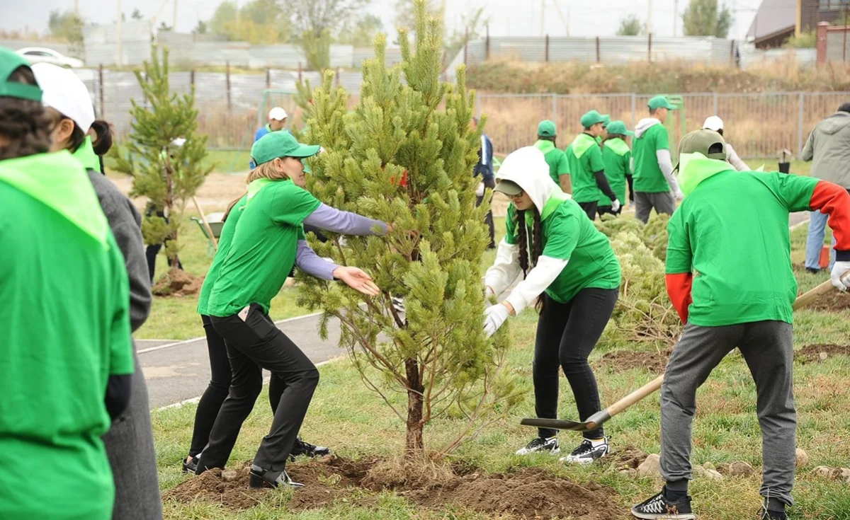 Алматылық түлектер республикалық ағаш отырғызу акциясына қосылды