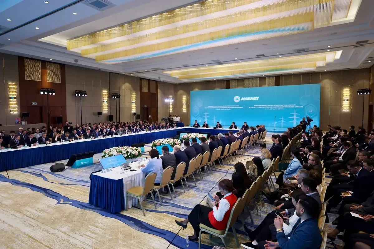 «AMANAT» пен бизнес энергетика саласын бірлесіп дамытады