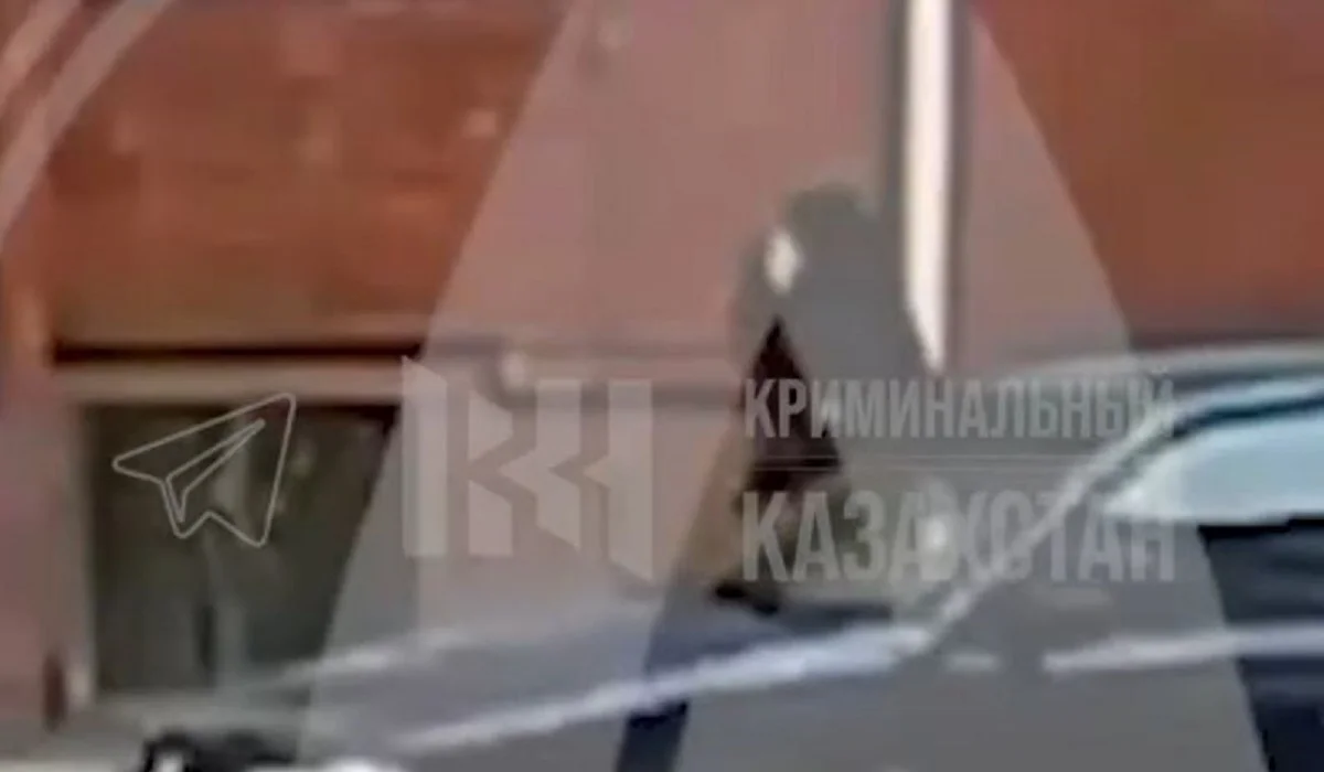 Қостанайда ер адам көшеде кетіп бара жатқан бейтаныс әйелді аямай ұрып кетті (ВИДЕО)