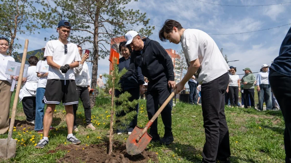 «Таза Қазақстан»: Өскеменде мектеп бітіруші түлектер 2,5 мың түп ағаш екті