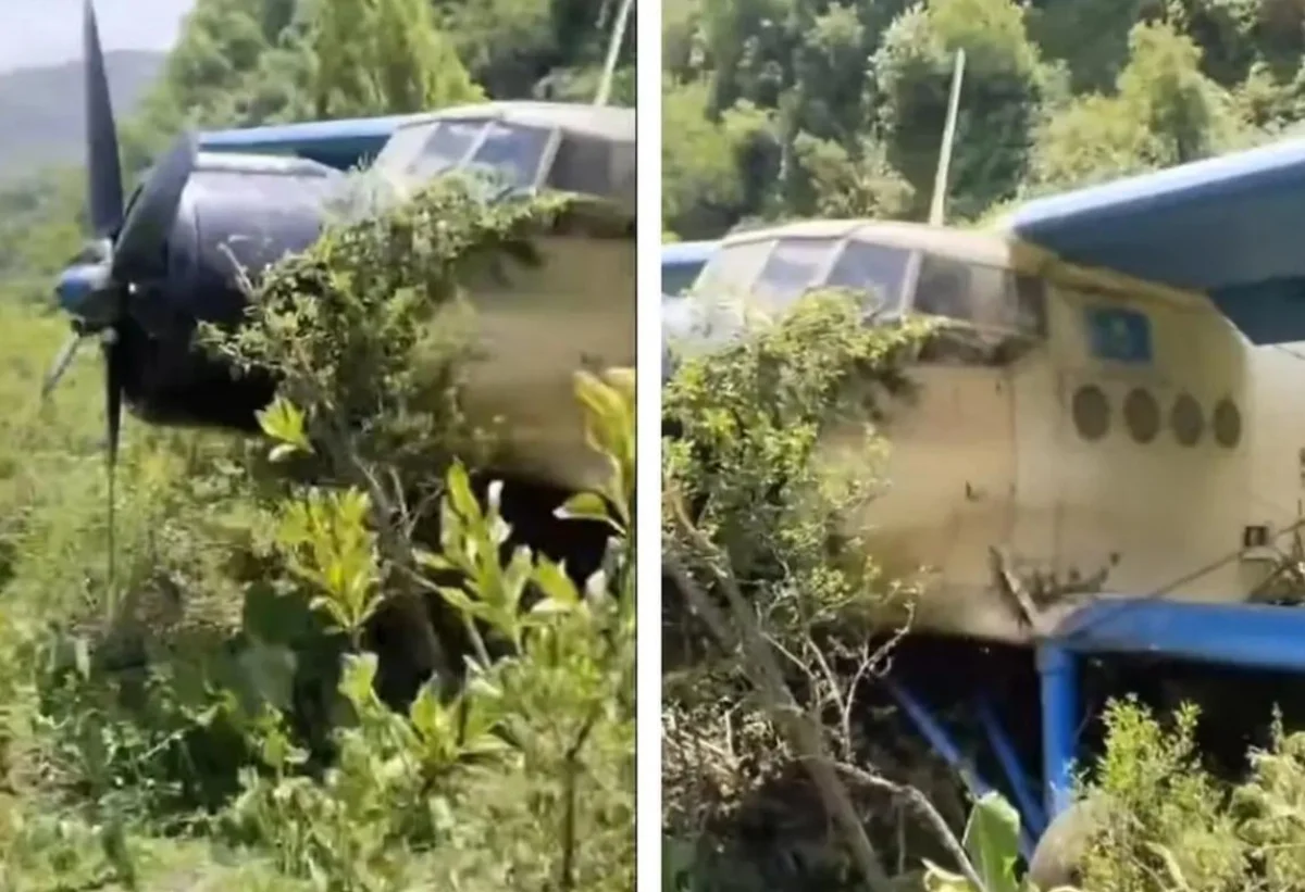 Алматы облысындағы тауда Ан-2 ұшағы апатты жағдайда қонды