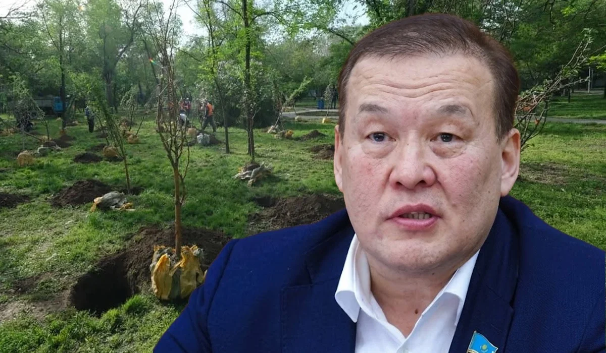 «Мемлекеттік органдар сапасыз көшет алады»: депутат ағаш егу сапасын сынға алды
