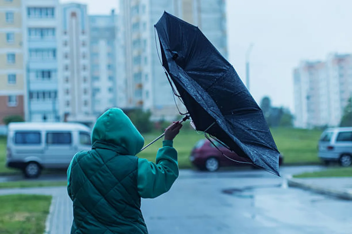 29 мамырда Қазақстанның бірнеше өңірінде жаңбыр мен қатты жел күтіледі