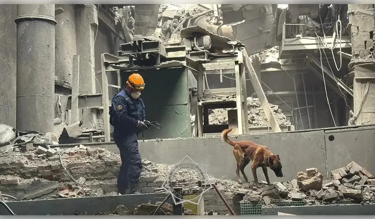 Шыңғыс Әрінов «Қазмырыш» зауытындағы алапат жарылыстың себебін болжады