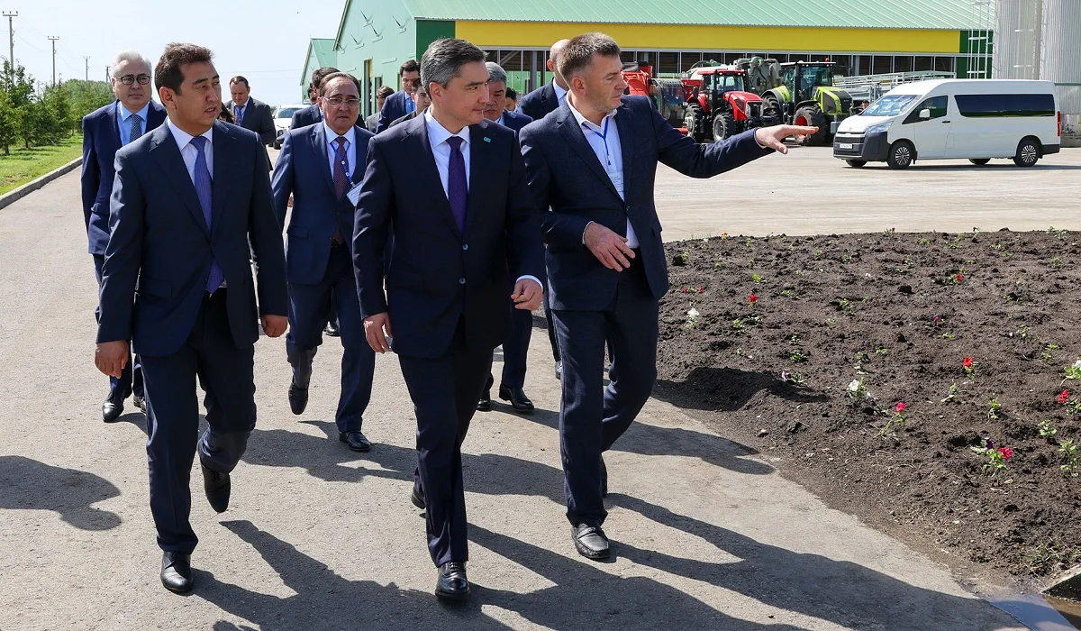 Еуропадан жеткізілген сиырлар Қазақстанның қысына қалай бейімделді: Бектенов арнайы барып тексерді