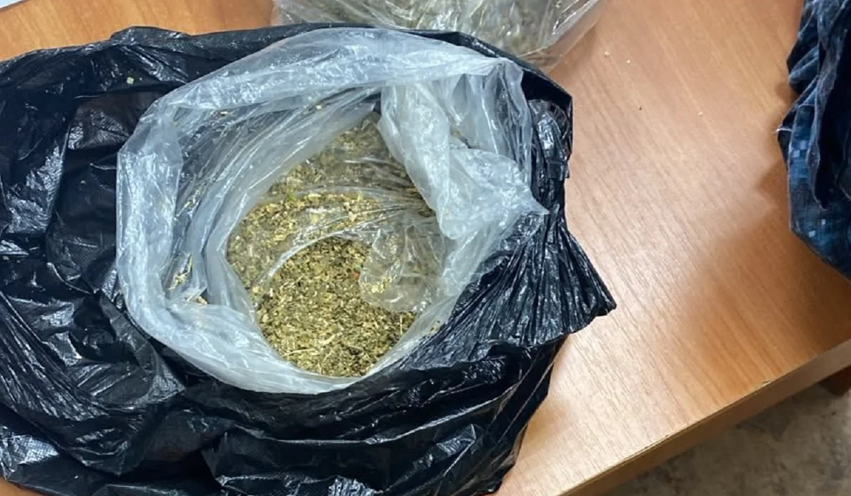 Оралда түрмеде отырғандарға пошта арқылы есірткі жеткізілмек болған: оны қызметтік ит тауып алды