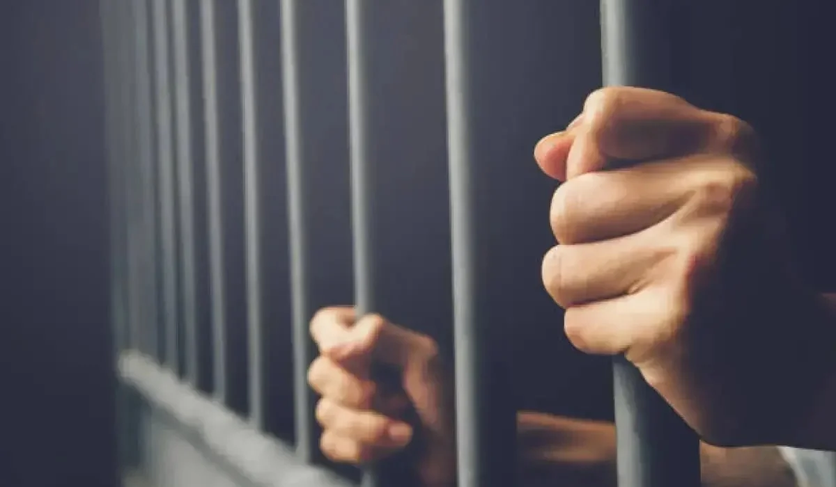Жаңа Конституцияның құрметіне орай ізгілік актісі: Сенат рақымшылық туралы заңды мақұлдады