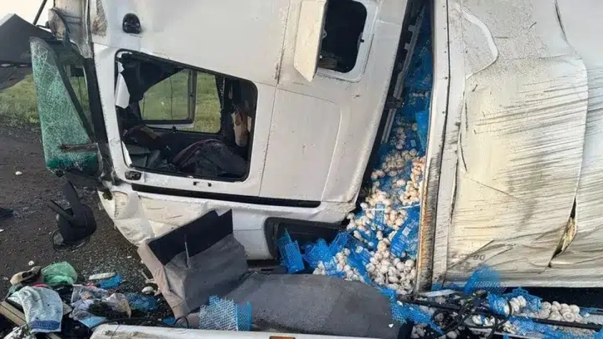 Астанаға бет алған 17 тонна саңырауқұлақ тиелген жүк көлігі аударылып қалды