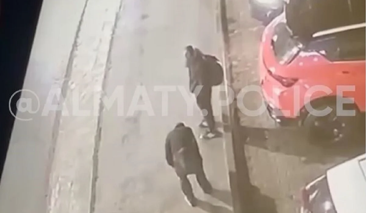 Алматыда ағайынды екі жігіт пәтер тонап жүр деген күдікпен ұсталды (ВИДЕО)