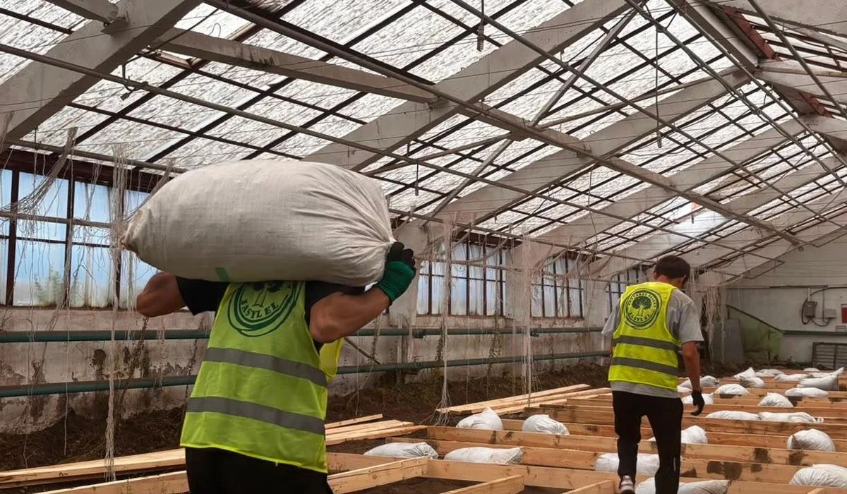 «Agro Eco Hub»: Қостанай облысында экологиялық волонтерлікті дамытуға арналған жылыжай ашылды
