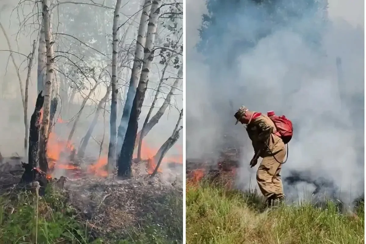 Найзағайдан кейін Қазақстанның төрт өңірінде орман өрті шықты