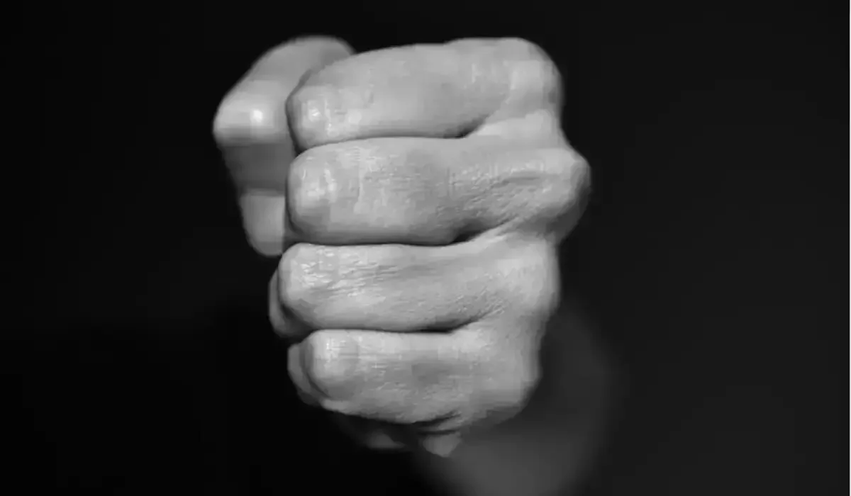 Жамбыл облысында жүк көлігінің жүргізушісін соққыға жыққан ағайындылар сотталды