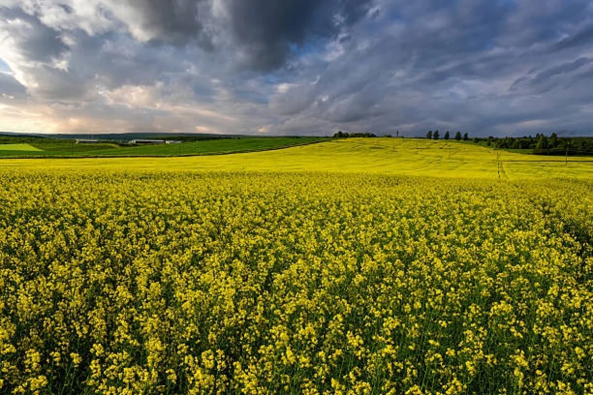 9 тамызда бірнеше өңірде дауылды ескерту жарияланды