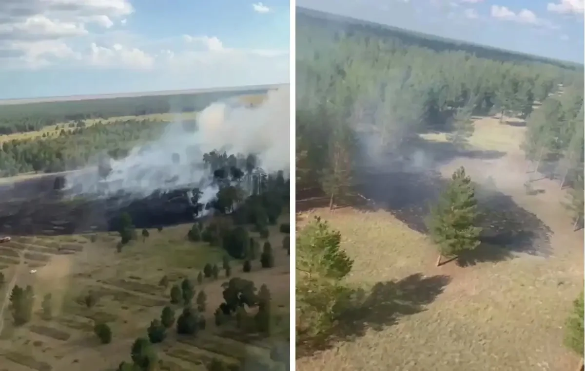 Қазақстанда бір аптада 47 орман өрті тіркелді (ВИДЕО)