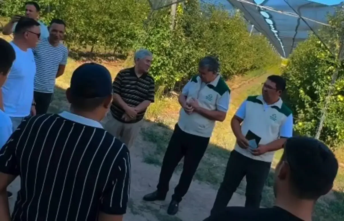 «Ауыл» партиясы Еңбекшіқазақ ауданының тұрғындарымен өңір мәселелерін талқылады