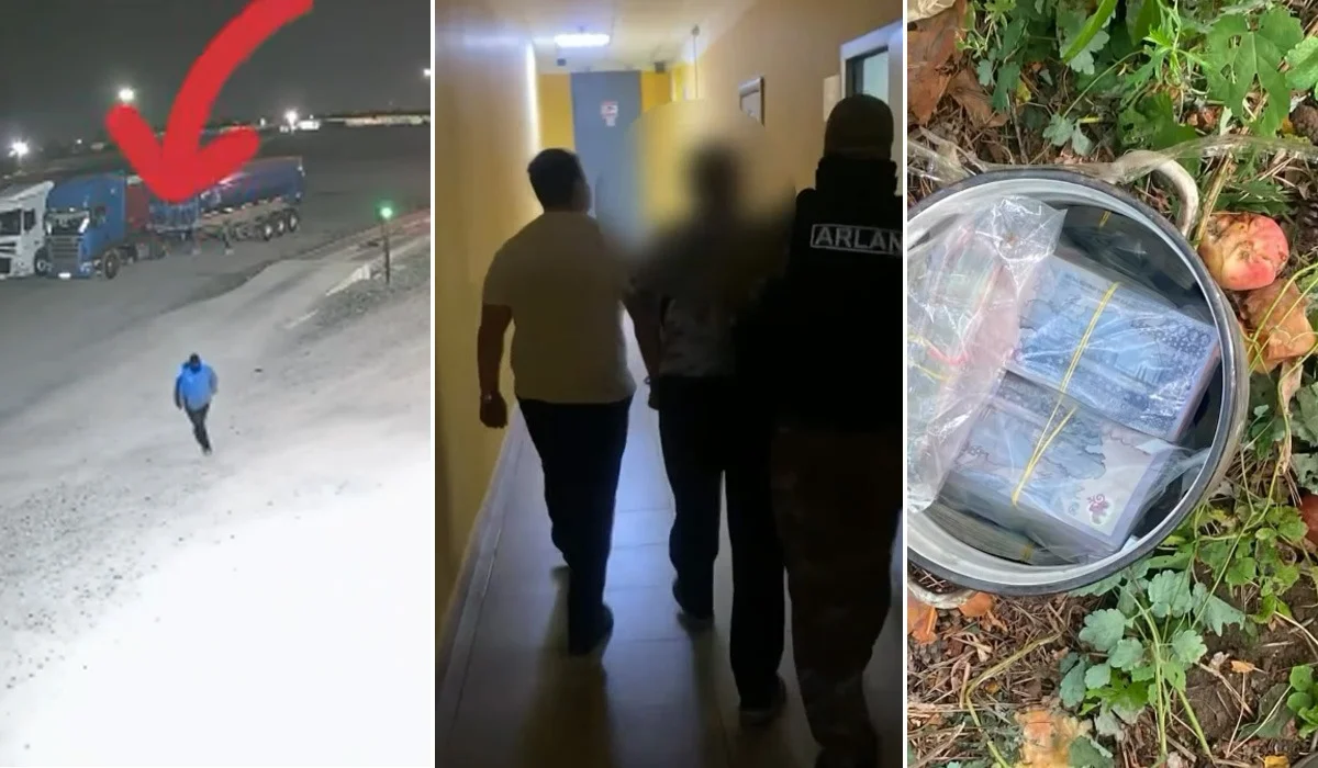 Павлодарда күзетші кәсіпорынның 25 млн теңгесін ұрлап, ауласындағы алма ағашына жасырып қойған (ВИДЕО)