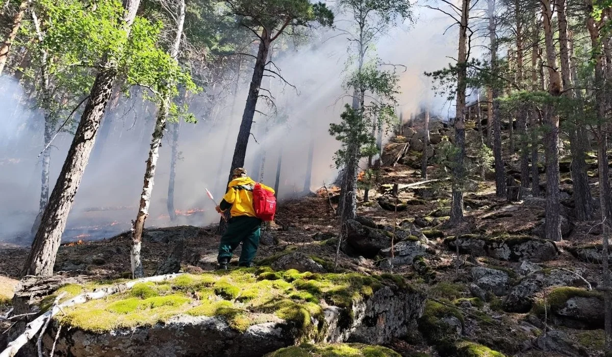 «Кәуәп пісірді»: биыл жазда Бурабай 12 рет өртеніп кете жаздаған