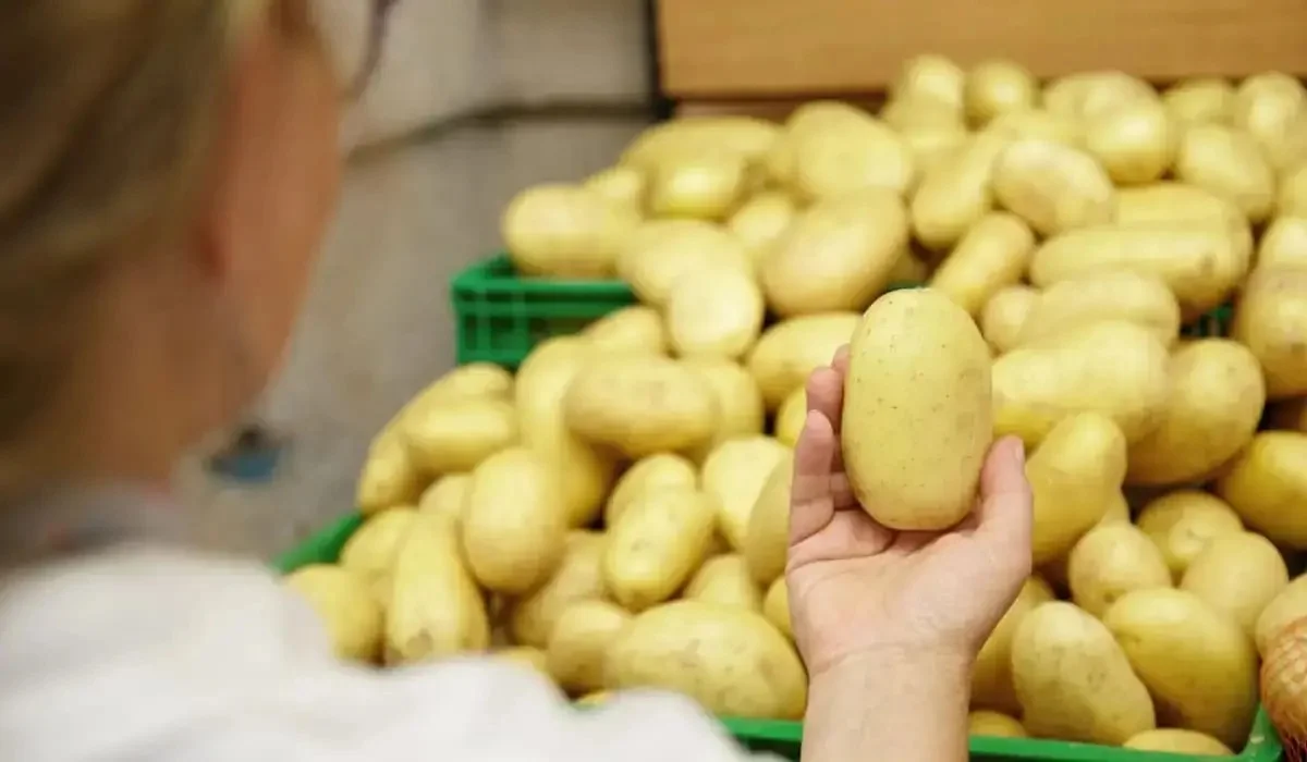 Қазақстанда пияз, сәбіз, картоп пен қырыққабат арзандап жатыр