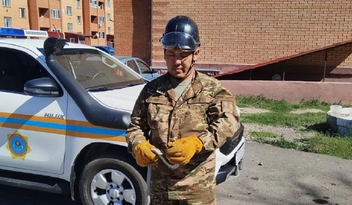 Қарағанды облысында үйлердің бірінің аумағынан жылан шықты (ВИДЕО)