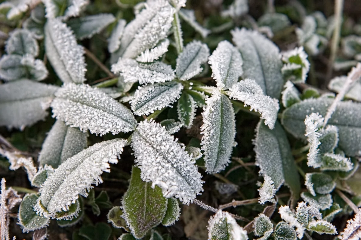 Түнде -2°C-қа дейін үсік, жаңбыр мен найзағай: 5 қыркүйекке арналған ауа райы болжамы