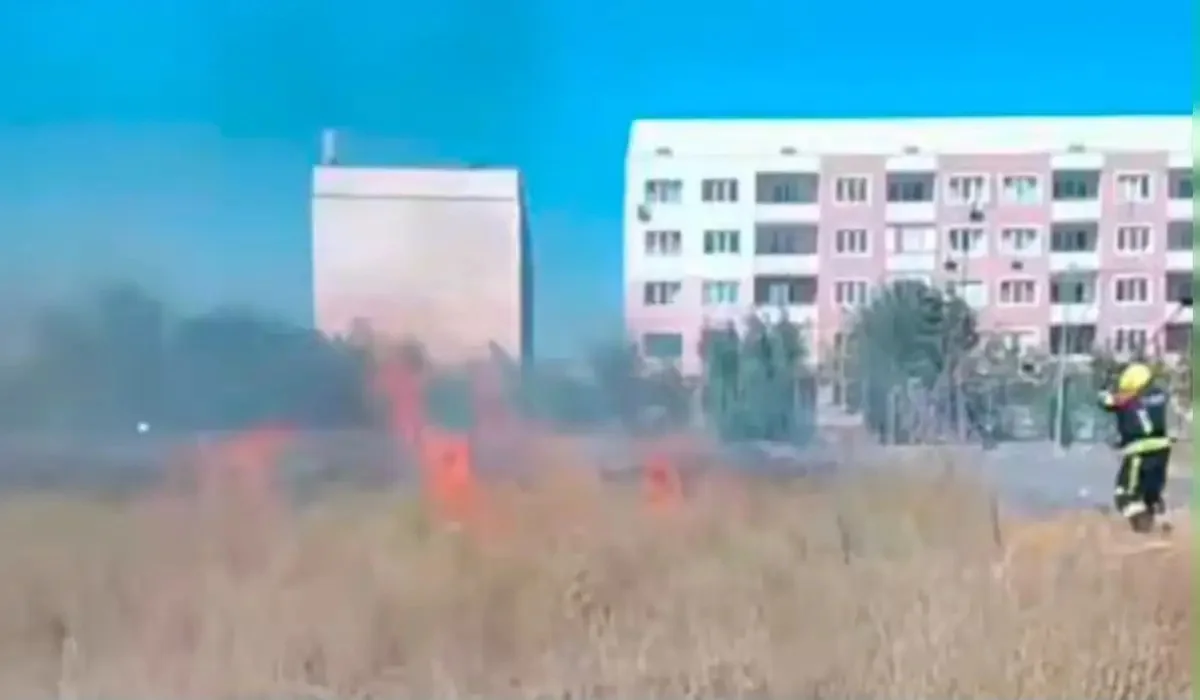 Алматыда ашық аумақта құрғақ шөп өртенді