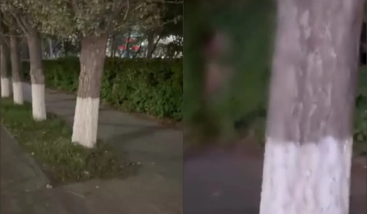 Астанада ер адам бұталардың арасына тығылып, ұятсыз әрекет жасаған (ВИДЕО)