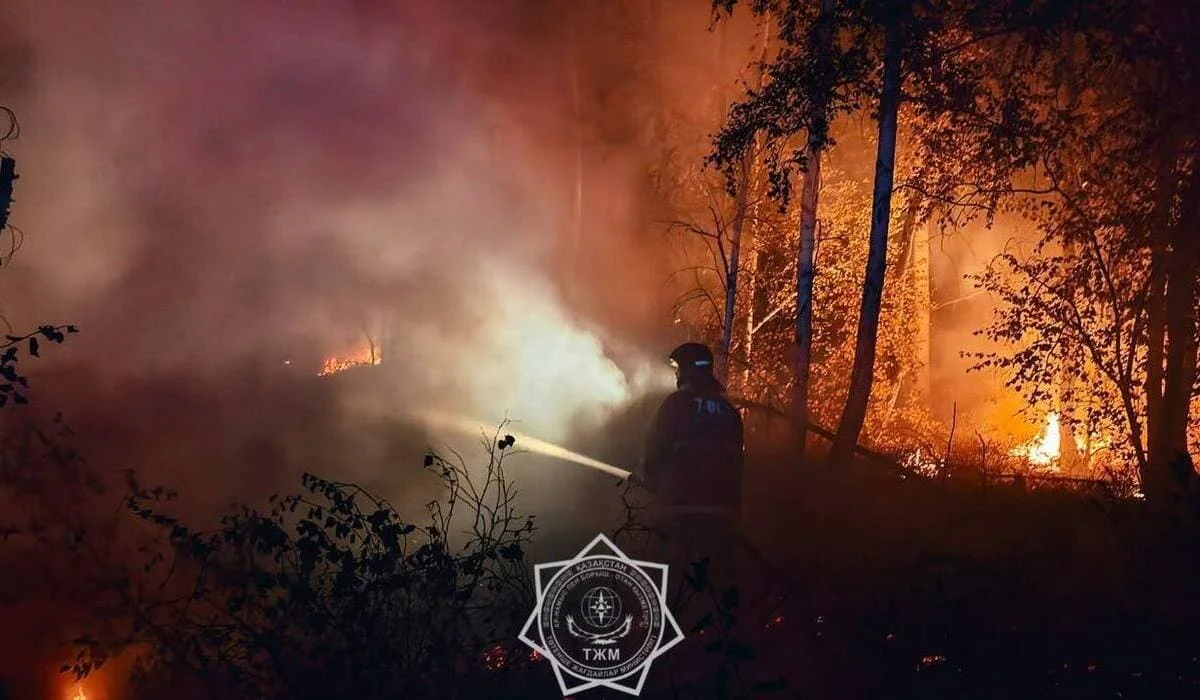 Қостанайда жүздеген гектар жер өртке оранды: оның бір бөлігі орман аумағына өтіп кеткен